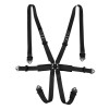 TRS New Pro Entry Level International 6 Point Harness