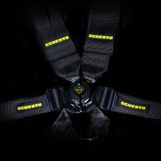 FIA Approved Harnesses