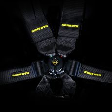 Lifeline FIA Approved Harnesses