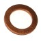 Copper Crush Washer